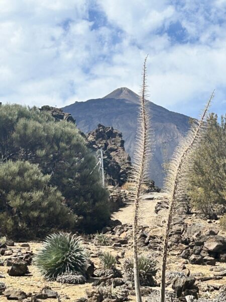 Vulkanlandschaft im Teide-Nationalpark auf Teneriffa, Insel des ewigen Frühlings