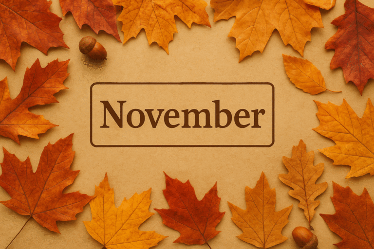 november mit 50plus tipps